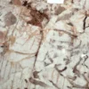 Arabescato Detail
