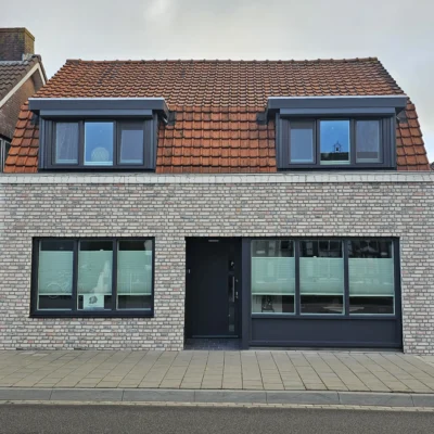 Artisan Brick 3D Wandpaneel buitenmuur